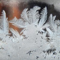 Неведомо, какой волшебной кистью, Мороз - художник, пишет по ночам... :: Надежда Куркина Неведомо, какой волшебной кистью, Мороз - художник, пишет по ночам... :: Надежда Куркина