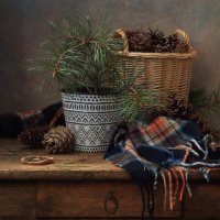 зимние зарисовки... :: Natali-C C