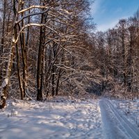 Первые дни нового года 10 :: Андрей Дворников