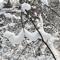 Как такое возможно то? :: Ирина 