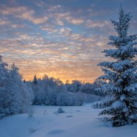 *** :: Андрей Дурапов