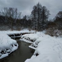Скромное обаяние московской зимы :: Андрей Лукьянов