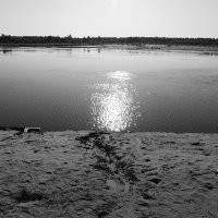 Фотография :: Денис Безногов Фотография :: Денис Безногов