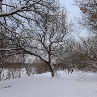 Зима :: Дмитрий И_ Зима :: Дмитрий И_