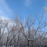 Яныарь :: Андрей Хлопонин