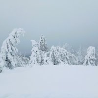 Царство Зимы :: Лариса С. Царство Зимы :: Лариса С.