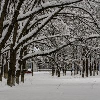 Городской парк :: Игорь Сикорский