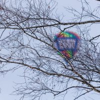 В январском небе. :: Анатолий. Chesnavik.