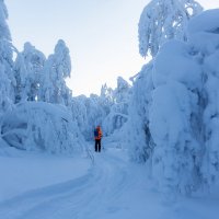 Голубые чертоги :: Евгений Тарасов 