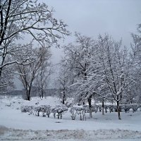 Зимой :: Елена Семигина