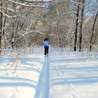 На лыжных прогулках в январе... :: Андрей Заломленков