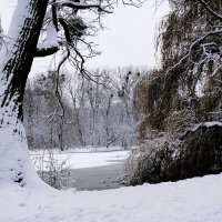 Парк Южный, Калининград :: Рита Симонова