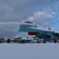 Кубинка. Парк Патриот :: Роман Пацкевич