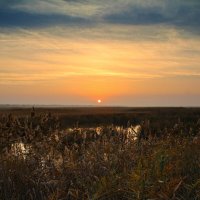 Утро. :: Александр. AVG100 ---