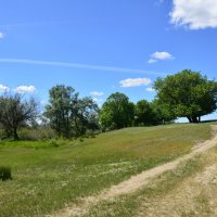 Мои дороги. :: Виктор 