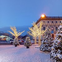 Новогодний Петербург . Зимний сад у Мариинского дворца. :: Наталья Куликова