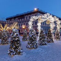 Новогодний Петербург . Зимний сад у Мариинского дворца. :: Наталья Куликова