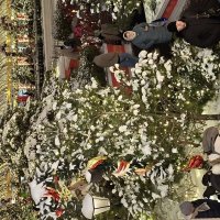 Москва новогодняя :: ИРЭН@ .