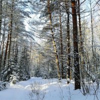 солнечный день :: Владимир 