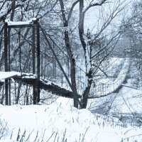 Зимний день :: Наталья Rosenwasser