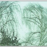 ЭТЮД... :: Elvira E. 