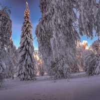 Зимняя сказка :: Vladimbormotov 