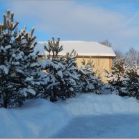 Зима :: Валентина Надсон