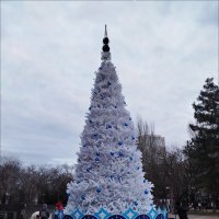 Белоснежная/снежная ёлка! :: Надежда 