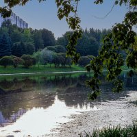 Отражение.р, Мухля :: Lucy Schneider 