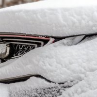 Улыбочку..! :: Андрей Щетинин