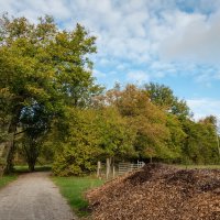 *** :: Николай Гирш