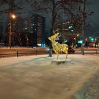 Самара новогодняя :: Надежда 