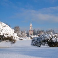 снежное :: Ольга снежное :: Ольга