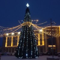 Ёлка :: Сапсан 