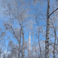 Январский мороз :: Андрей Хлопонин