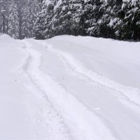 Зима за городом :: Татьяна Тюменка Зима за городом :: Татьяна Тюменка