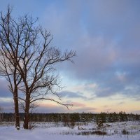 Два одиноких великана :: Валерий VRN Два одиноких великана :: Валерий VRN