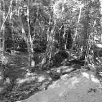 Фотография :: Денис Безногов