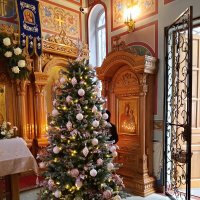 РОЖДЕСТВО :: Tata Wolf