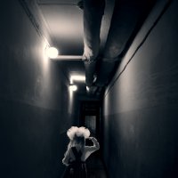 Только прямо! :: СЮ 