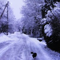 Моя зимняя улица :: Людмила Смородинская Моя зимняя улица :: Людмила Смородинская