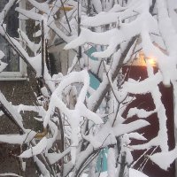 Снежной зимой :: Елена Семигина Снежной зимой :: Елена Семигина