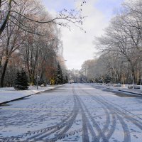 Парк Южный, Калининград :: Рита Симонова