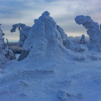 На вершине :: Евгений Тарасов 