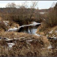 *** :: Aleksandr Gal