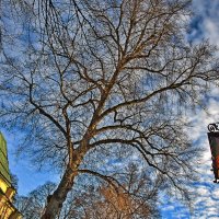 Голова закружилась ... :: Alexandеr P