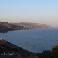 Природа Крыма :: Amazing Cosmea