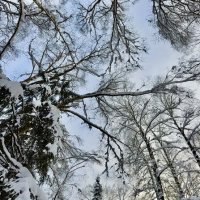 Зимняя сказка :: Любовь 