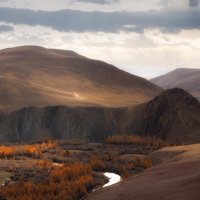 Кокоря :: Sergey38 