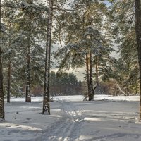 130 :: Александр Иванович Шитов